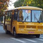 bobr1