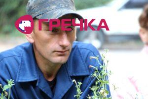 cherv1