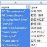 partii copy copy