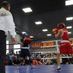 Boxing 3