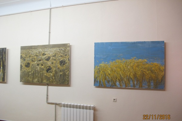VIS3