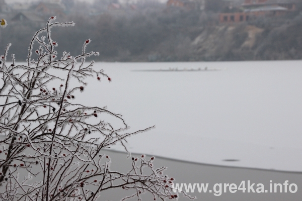 watermarked leb3