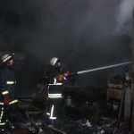IMG 6848