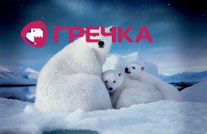 arktika