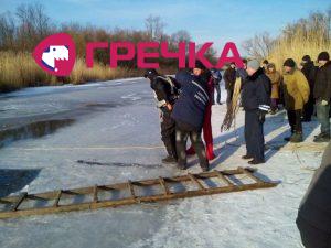 IMG 20170104 102251