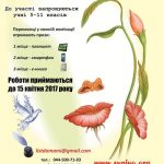 Anneye mektup 2017