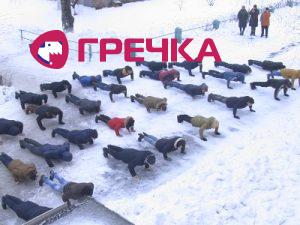 Без названия