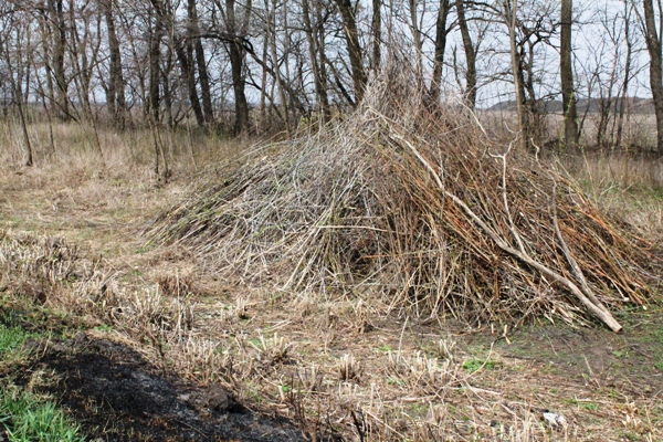 3 1