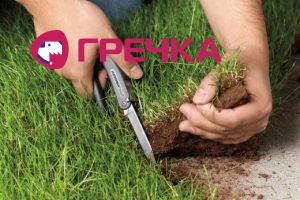 земля делить