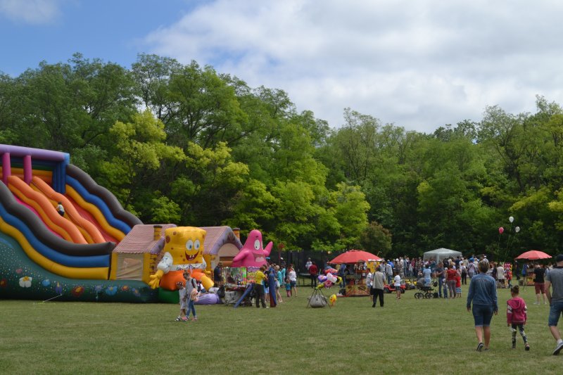 DSC 0013 800x533