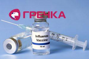 Flu Vaccine 600