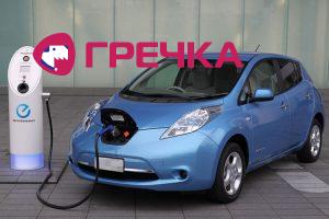 nissan leaf 46
