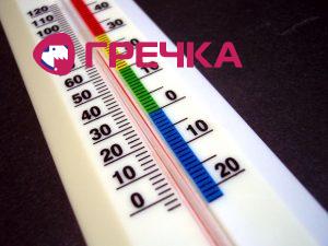 thermometer