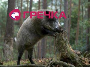 veprik