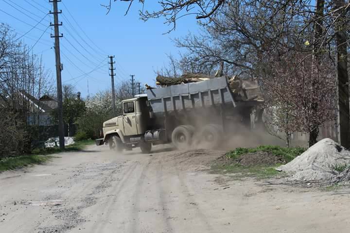 дерева1