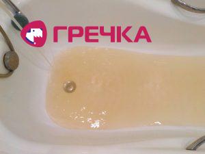 8377f153 ce1a 4836 aefd 0d54ebd3a4c7