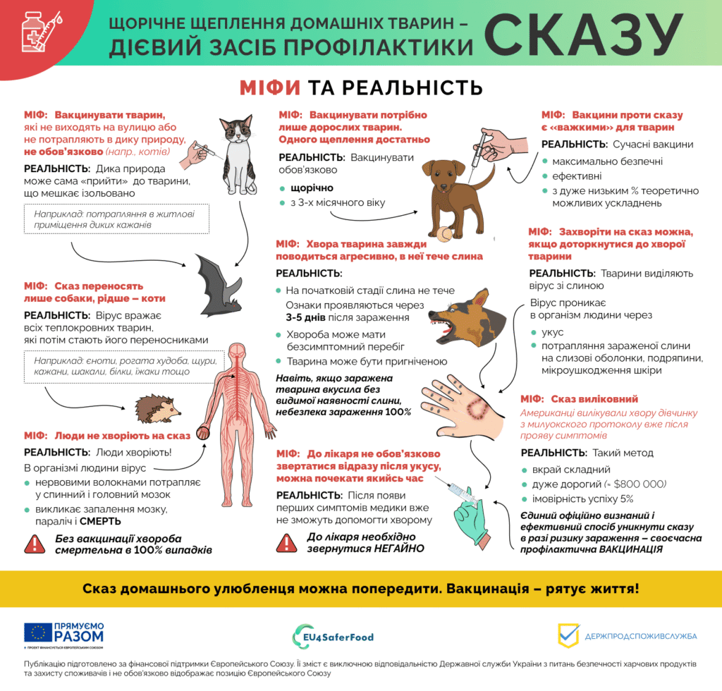 інфографіка сказ