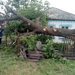 IMG 20180526 171943819