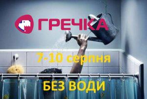 voda leyka