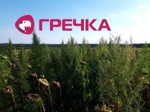 IMG 20180816 WA0001