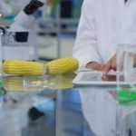 laboratoriya Lebedinskogo nasinnyevogo zavodu e1524556222262 696x422
