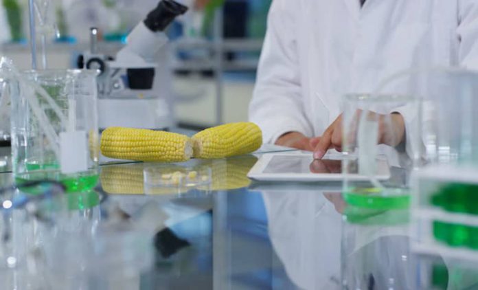 laboratoriya Lebedinskogo nasinnyevogo zavodu e1524556222262 696x422