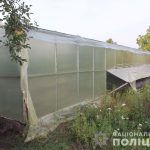 конопл