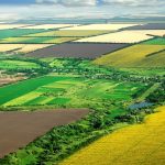 agriculture