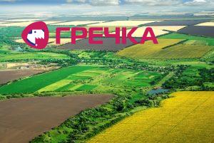 agriculture