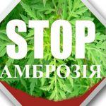 ambroziya