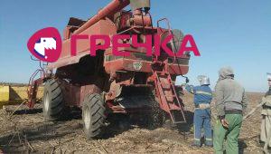 IMG 4c2ada6fbec7a1285cd5303b99affa1e V