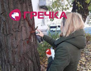 dereva1 copy