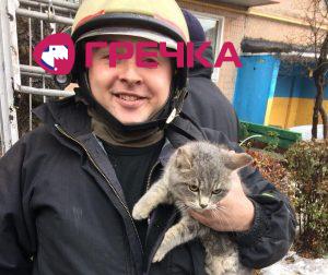 kit