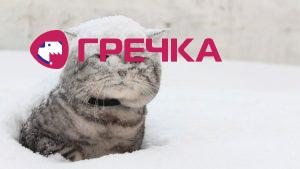 kitsnig