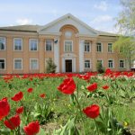 novom