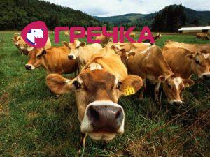 6 7 agrarnogo vvp formuyut fermerski gospodarstva oficijno 8578