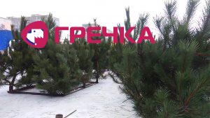 іщітф