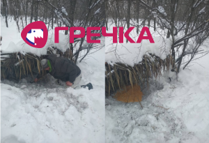 Безымянный
