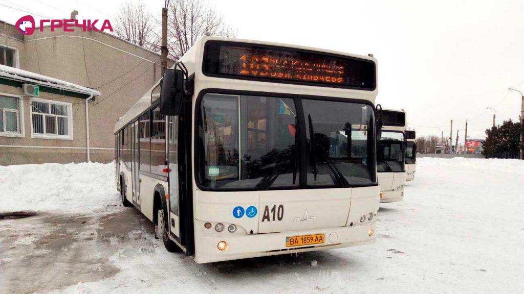 avtobus103