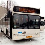 avtobus103