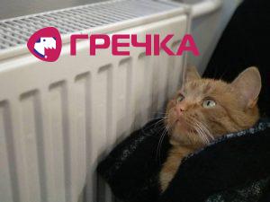 kitbeztepla