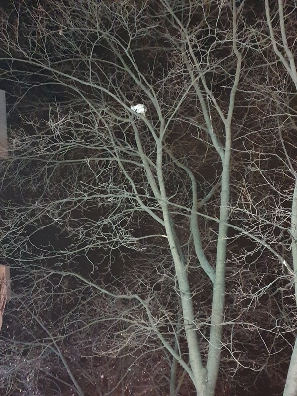 20190228 195548