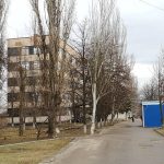 derevo