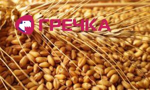 be12928c33b080069d738901538ddea6