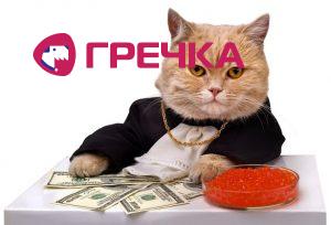fat cat money 386378