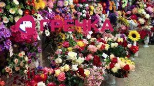 img1520409919