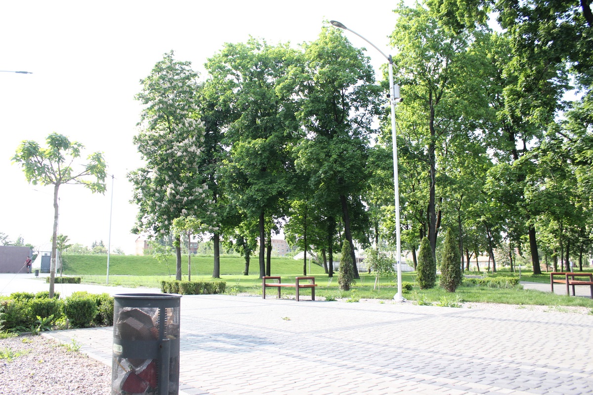 IMG 3547