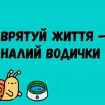 64323386 2358232987789295 2006268670950506496 n