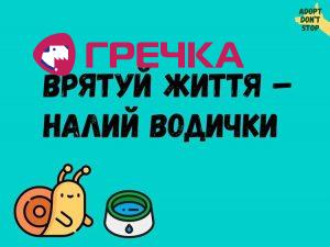 64323386 2358232987789295 2006268670950506496 n