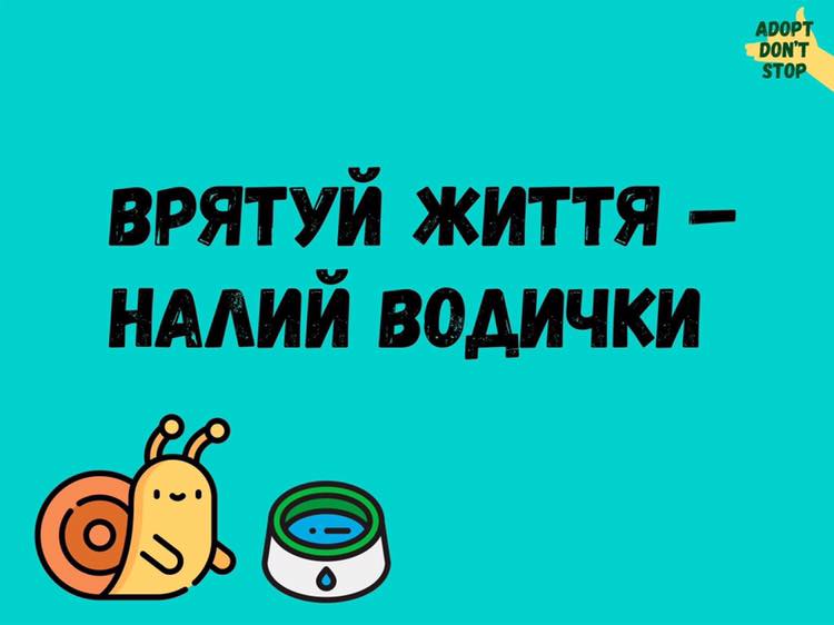 64323386 2358232987789295 2006268670950506496 n